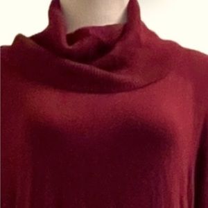 Woman’s Sweater dress